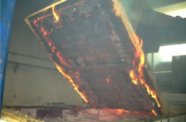Fire behavior of cross-laminated timber